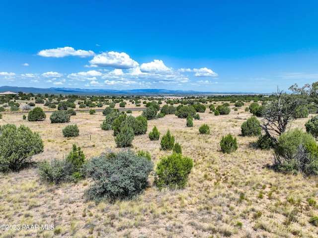 12250A N Puntenney Rd, Prescott, AZ 86305 - photo 32