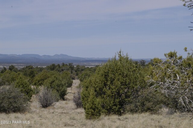 12250A N Puntenney Rd, Prescott, AZ 86305 - photo 23