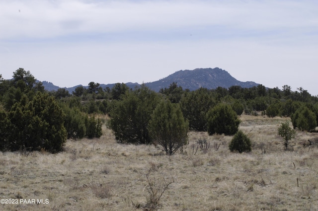 12250A N Puntenney Rd, Prescott, AZ 86305 - photo 20