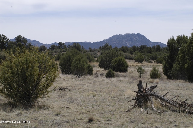 12250A N Puntenney Rd, Prescott, AZ 86305 - photo 21
