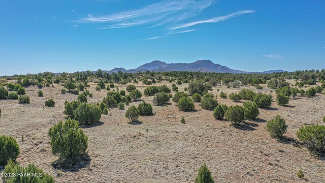 12250A N Puntenney Rd, Prescott, AZ 86305 - photo 17