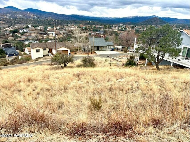 view of mountain feature