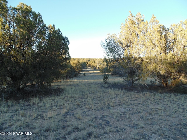 N/A N N Lone Star Rd, Seligman, AZ 86337 - photo 4