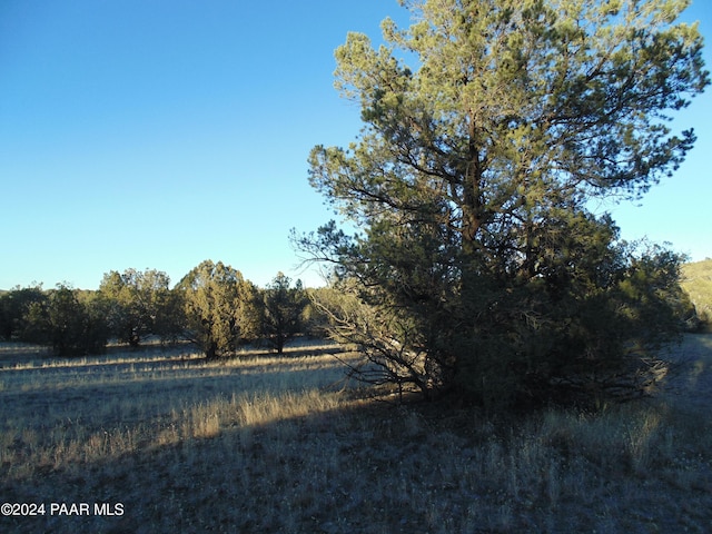 Listing photo 2 for N/A N N Lone Star Rd, Seligman AZ 86337