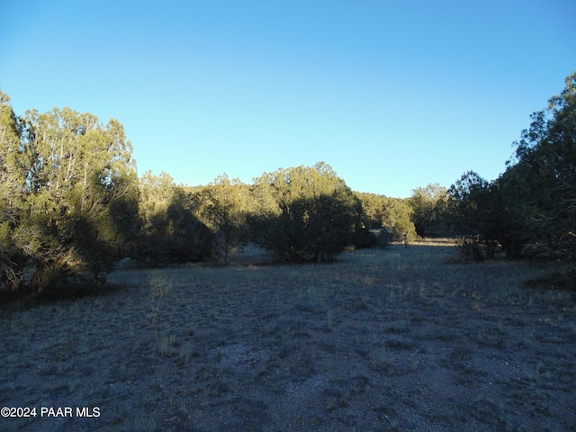 Listing photo 3 for N/A N N Lone Star Rd, Seligman AZ 86337