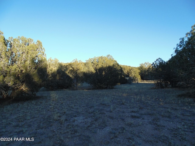 N/A N N Lone Star Rd, Seligman, AZ 86337 - photo 3