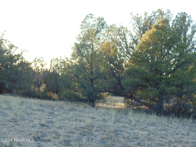 N/A N N Lone Star Rd, Seligman, AZ 86337 - photo 1