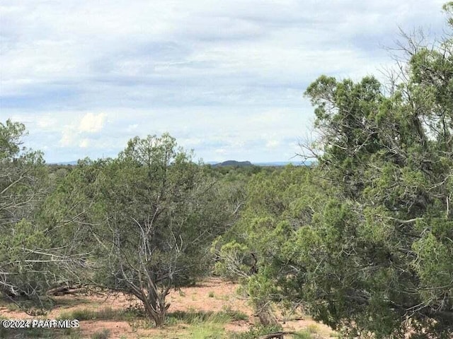 182 NE Cooks Trl, Ash Fork, AZ 86320 - view of tree filled area