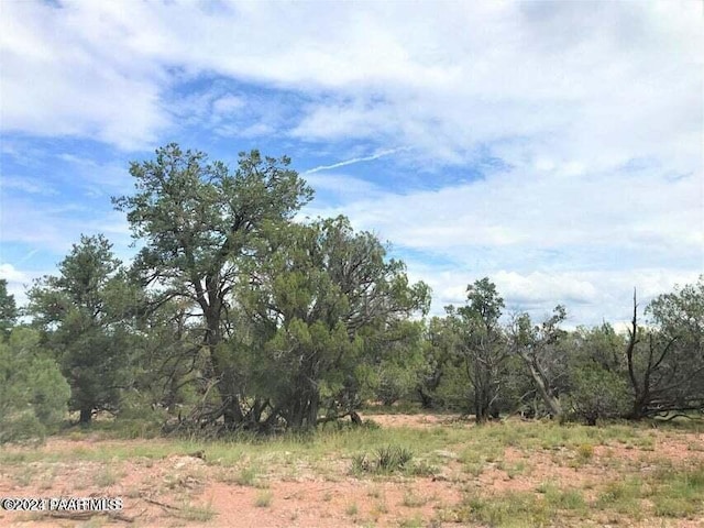 182 NE Cooks Trl, Ash Fork, AZ 86320 - view of undeveloped land