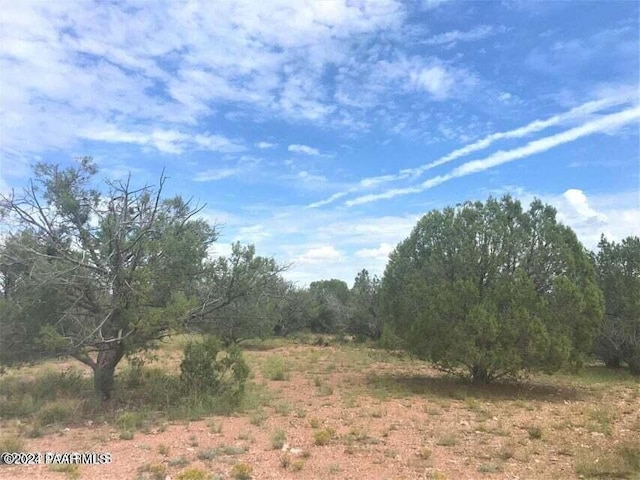182 NE Cooks Trl, Ash Fork, AZ 86320 - view of local wilderness