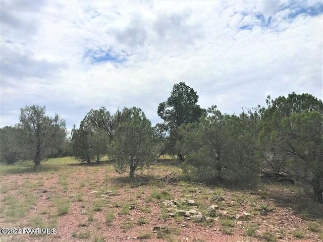 182 NE Cooks Trl, Ash Fork, AZ 86320 - view of nature