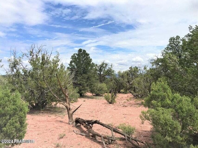 view of local wilderness