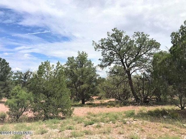 182 NE Cooks Trl, Ash Fork, AZ 86320 - view of undeveloped land