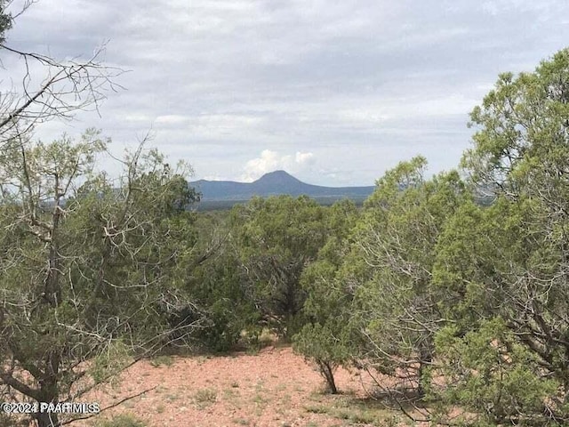 view of mountain feature