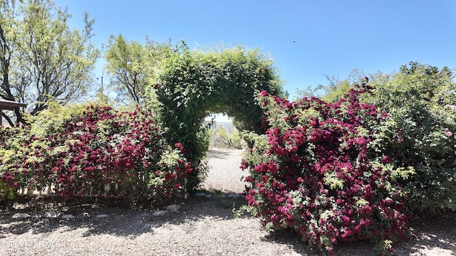 5640 N Burke Blvd, Rimrock, AZ 86335 - view of yard