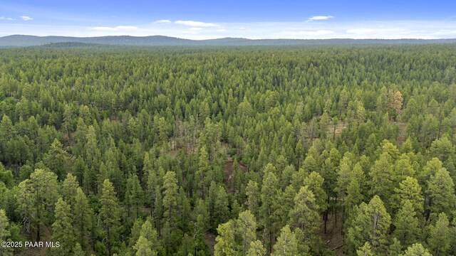 1430 E Puma Pl Unit F, Munds Park, AZ 86017 - photo 66