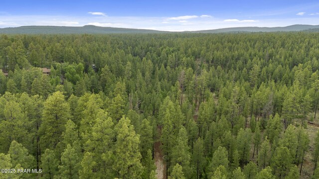 1430 E Puma Pl Unit F, Munds Park, AZ 86017 - photo 69
