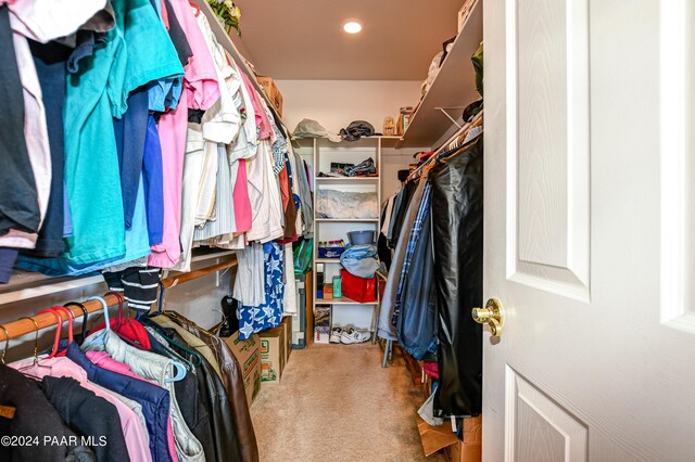 spacious closet with carpet