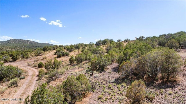 0 W Flycatcher Ln, Chino Valley, AZ 86323 - photo 4