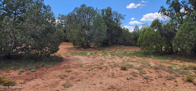 3722 Raney Rd, Ash Fork, AZ 86320 - photo 45