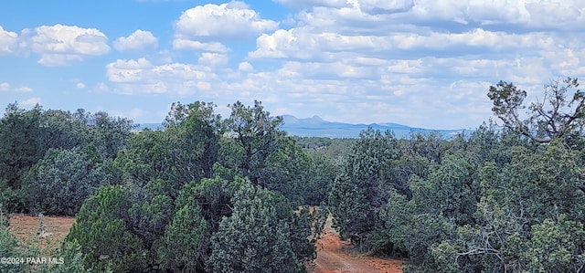 view of mountain feature