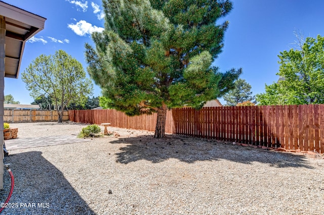 view of yard with a fenced backyard and a patio area