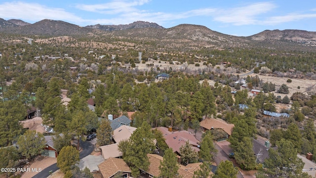 birds eye view of property featuring a mountain view