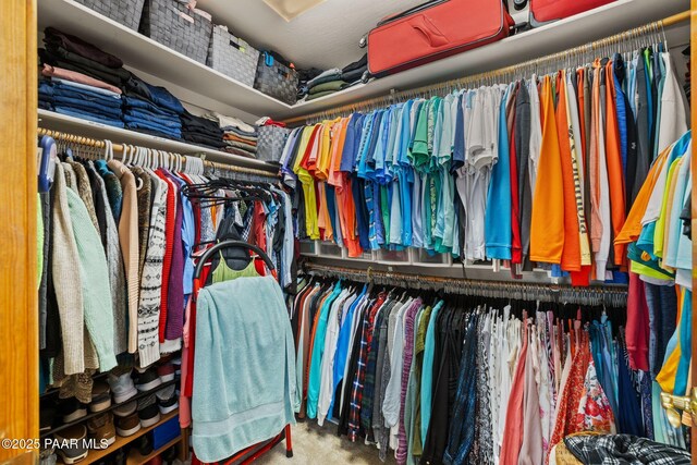 view of walk in closet