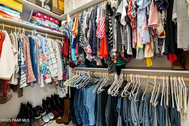 view of spacious closet