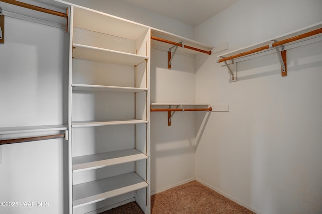 2312 Loma Vista Dr, Prescott, AZ 86305 - walk in closet featuring carpet flooring