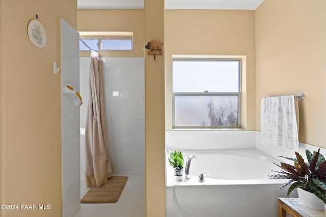 bathroom with separate shower and tub and a wealth of natural light