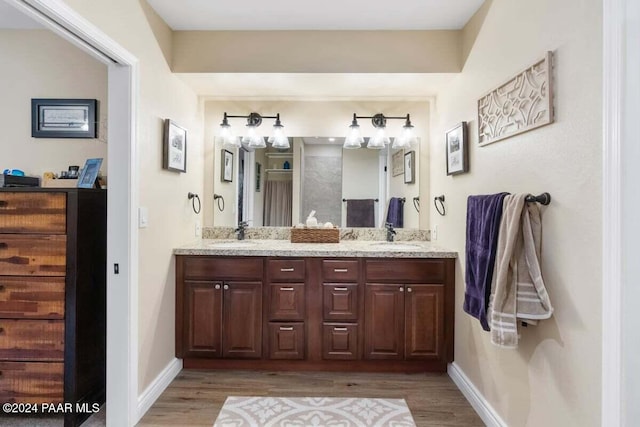 bathroom featuring hardwood / wood-style floors and vanity