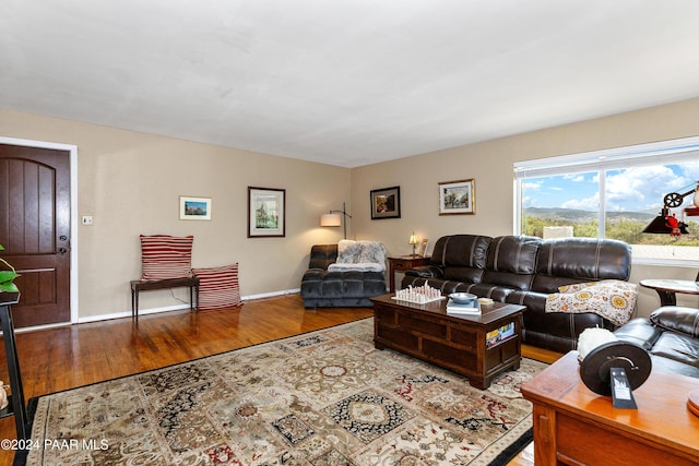 living room featuring hardwood / wood-style flooring