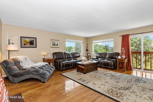 living room with light hardwood / wood-style flooring