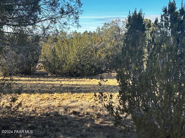 37916-C W Howling Coyote Rd, Seligman, AZ 86337 - photo 13