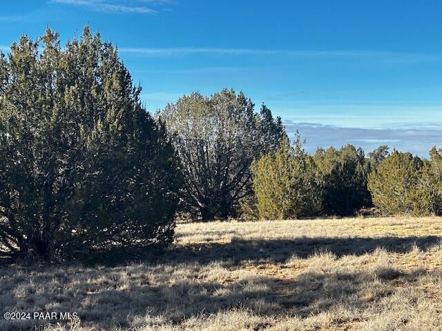 37916-C W Howling Coyote Rd, Seligman, AZ 86337 - photo 12