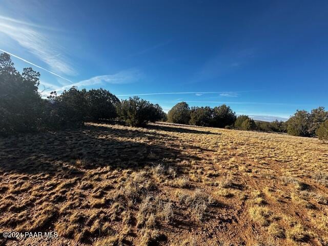 37916-C W Howling Coyote Rd, Seligman, AZ 86337 - photo 10
