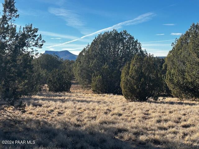 37916-C W Howling Coyote Rd, Seligman, AZ 86337 - photo 9