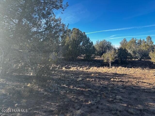 37916-C W Howling Coyote Rd, Seligman, AZ 86337 - photo 14