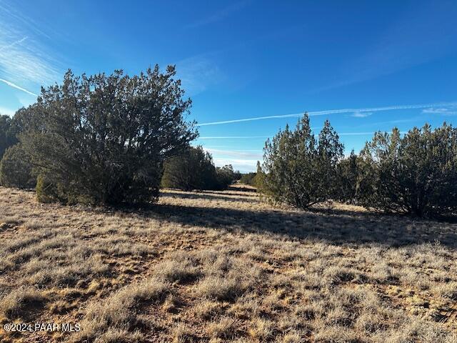 37916-C W Howling Coyote Rd, Seligman, AZ 86337 - photo 11