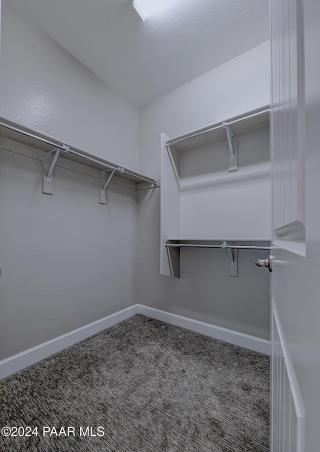 spacious closet featuring dark colored carpet