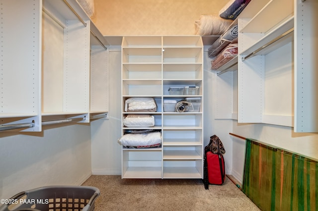 1021 Sheriffs Posse Trl, Prescott, AZ 86303 - walk in closet with carpet flooring