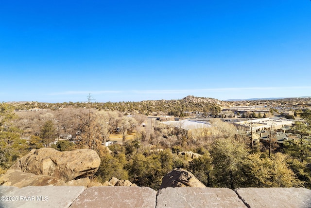 view of local wilderness with a mountain view