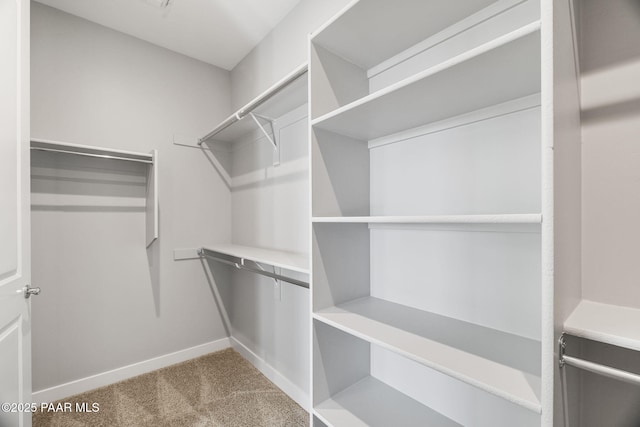 spacious closet featuring light colored carpet