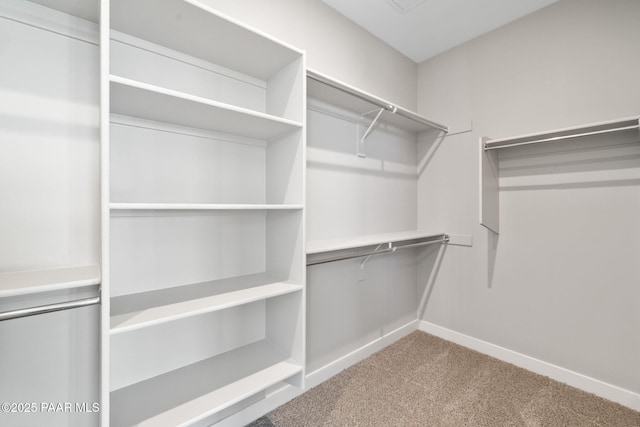 spacious closet with light carpet