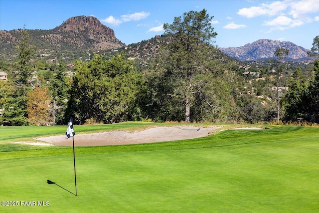 view of home's community with a mountain view and a yard