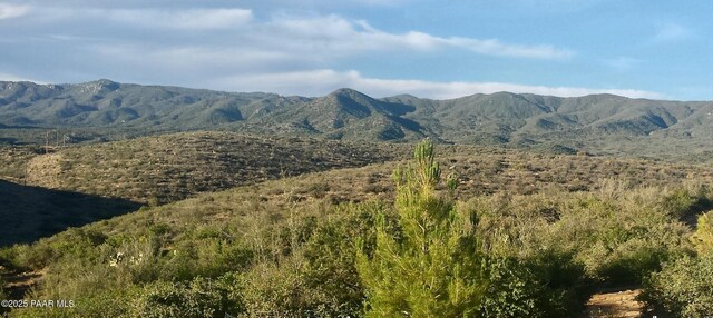 8470-255 W Webster Rd, Wilhoit, AZ 86332