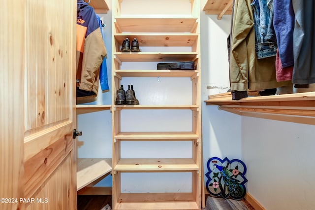 walk in closet featuring wood-type flooring