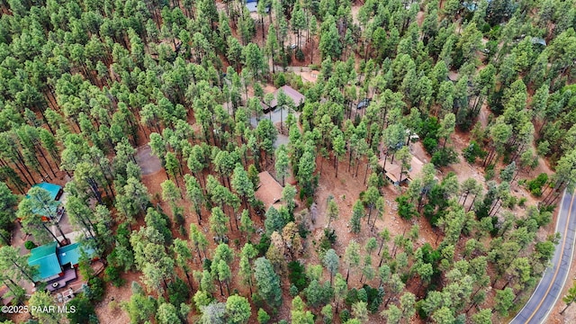 6231 S Champion Way Rd, Prescott, AZ 86303 - aerial view of property's location