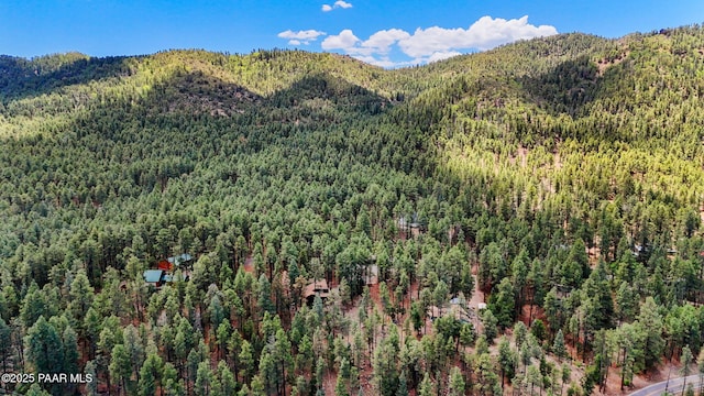 6231 S Champion Way Rd, Prescott, AZ 86303 - view of mountain backdrop featuring a heavily wooded area